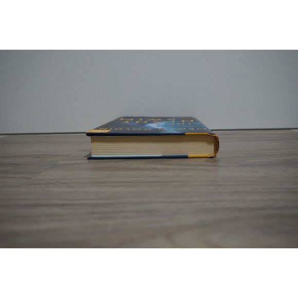 Night Swim by Megan Goldin Hardbook Cover Murder Mystery - Picture 3 of 10